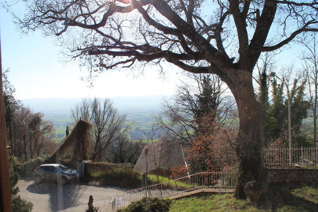 Sogni D'Assisi Bed & Breakfast Exterior photo